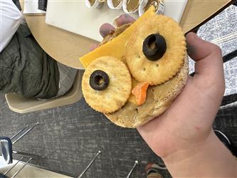 Owl